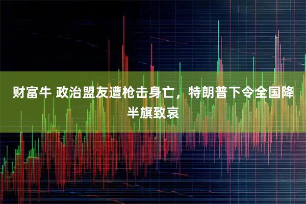 财富牛 政治盟友遭枪击身亡，特朗普下令全国降半旗致哀
