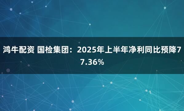 鸿牛配资 国检集团：2025年上半年净利同比预降77.36%