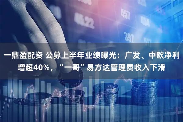 一鼎盈配资 公募上半年业绩曝光：广发、中欧净利增超40%，“一哥”易方达管理费收入下滑
