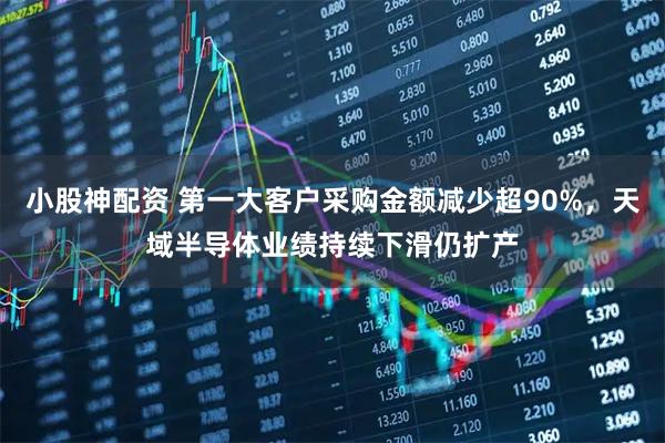 小股神配资 第一大客户采购金额减少超90%,天域半导体业绩持续下滑仍扩产