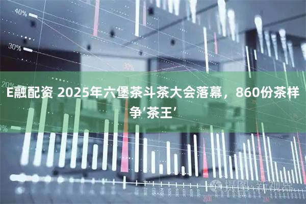 E融配资 2025年六堡茶斗茶大会落幕，860份茶样争‘茶王’