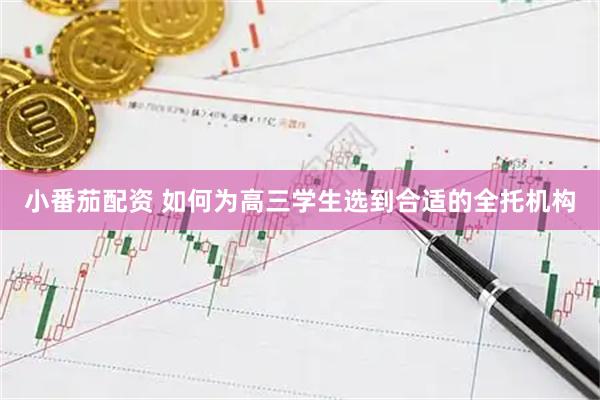 小番茄配资 如何为高三学生选到合适的全托机构